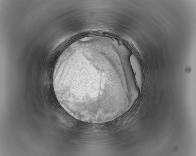 X0000091291064200709071027