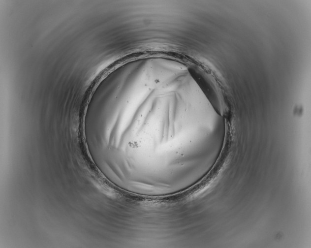 X0000091291065200709071027