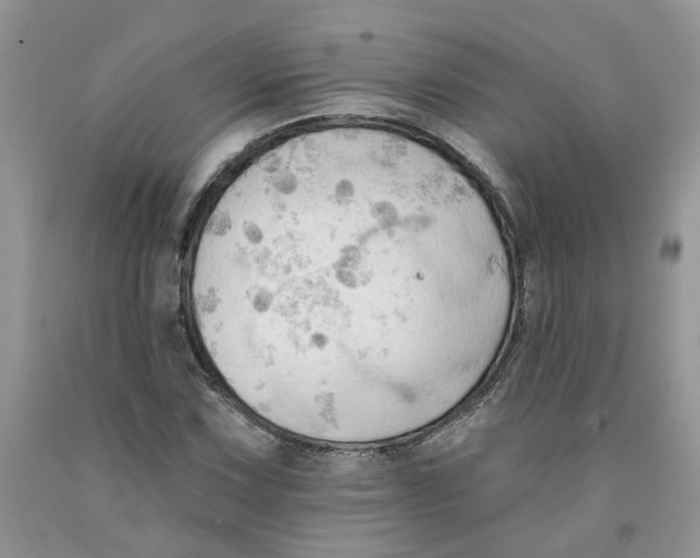 X0000091291067200709071027