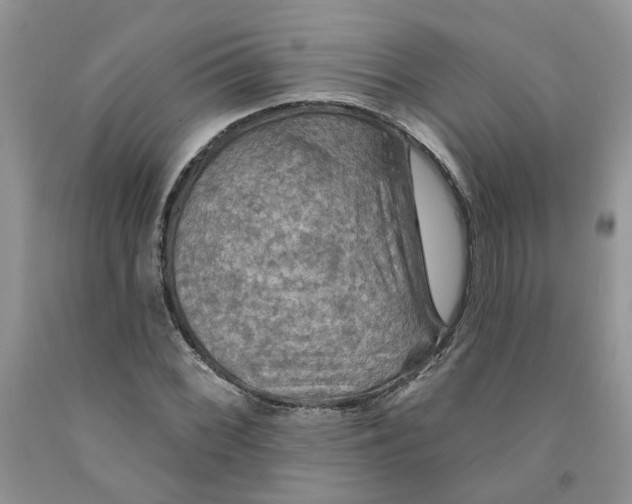 X0000091291068200709071027