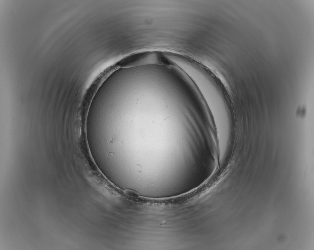 X0000091291069200709071027