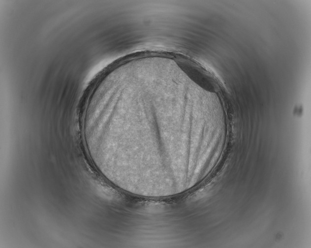 X0000091291070200709071027