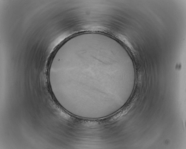 X0000091291071200709071027