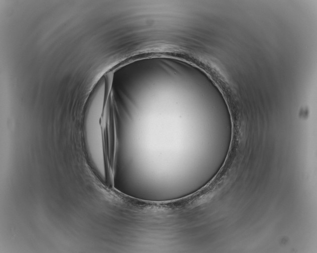 X0000091291073200709071027