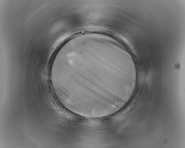 X0000091291074200709071027