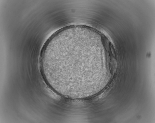 X0000091291076200709071027