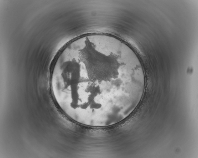 X0000091291079200709071027