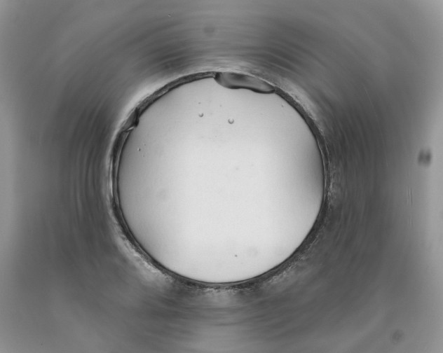 X0000091291080200709071027