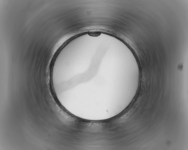 X0000091291082200709071027