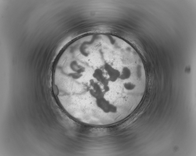 X0000091291083200709071027