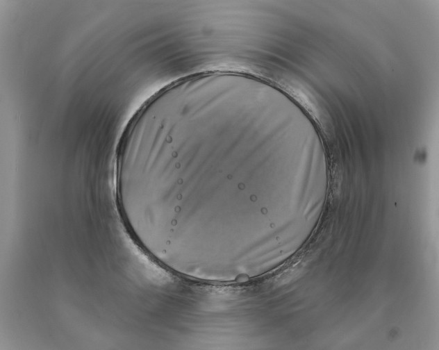 X0000091291084200709071027