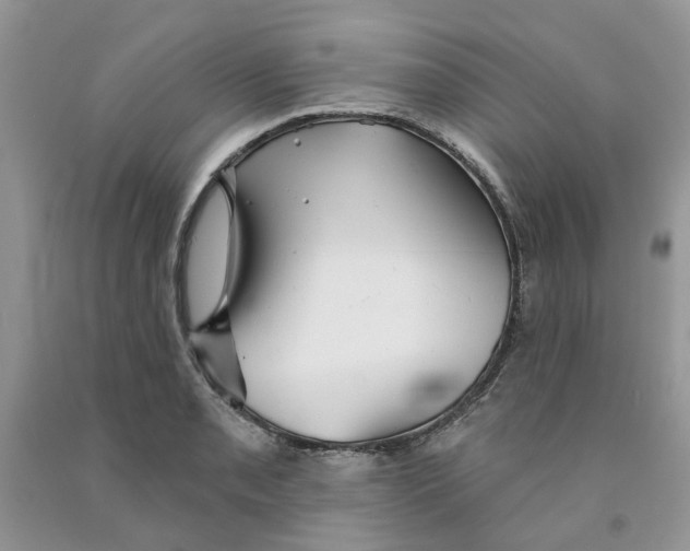 X0000091291085200709071027