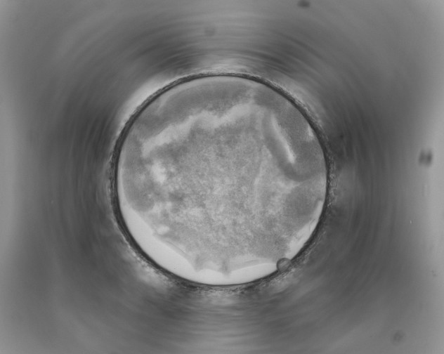 X0000091291086200709071027