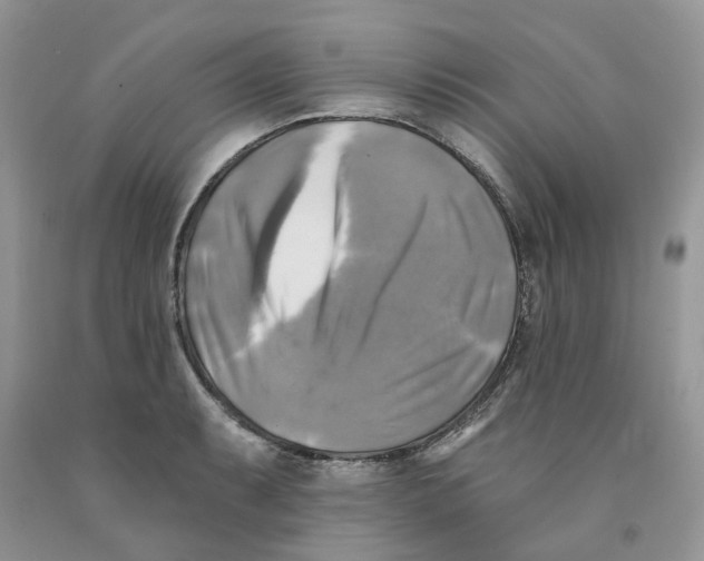 X0000091291087200709071027