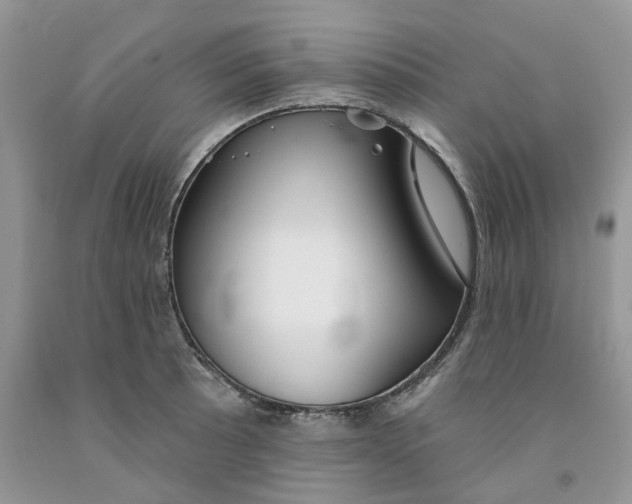 X0000091291089200709071027