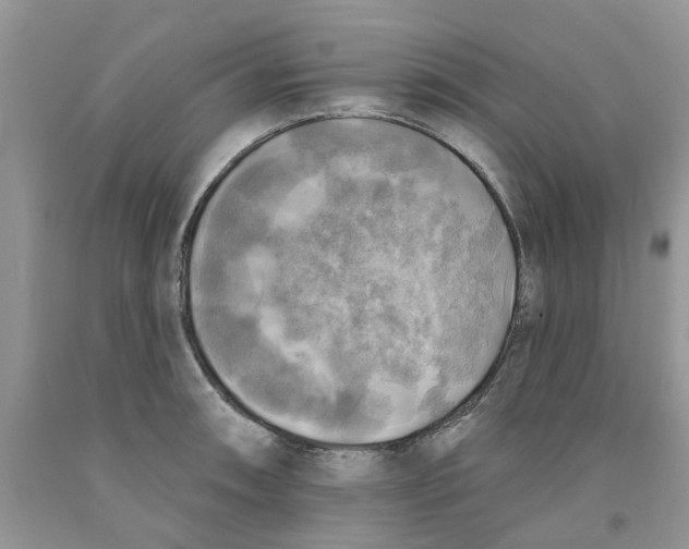 X0000091291090200709071027