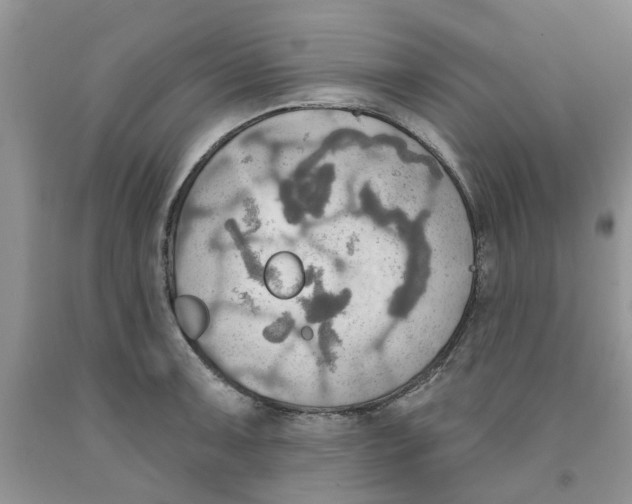 X0000091291091200709071027