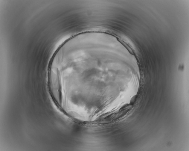 X0000091291095200709071027