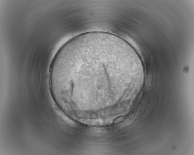 X0000091291096200709071027