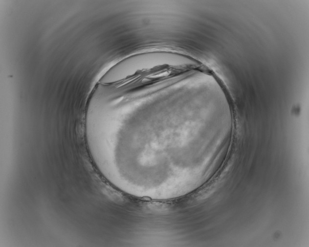 X0000091291097200709071027