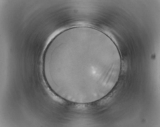 X0000091291098200709071027