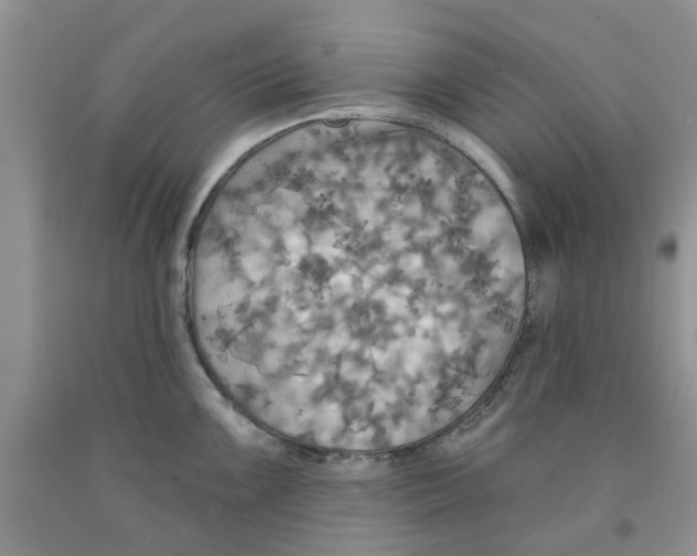 X0000091291099200709071027