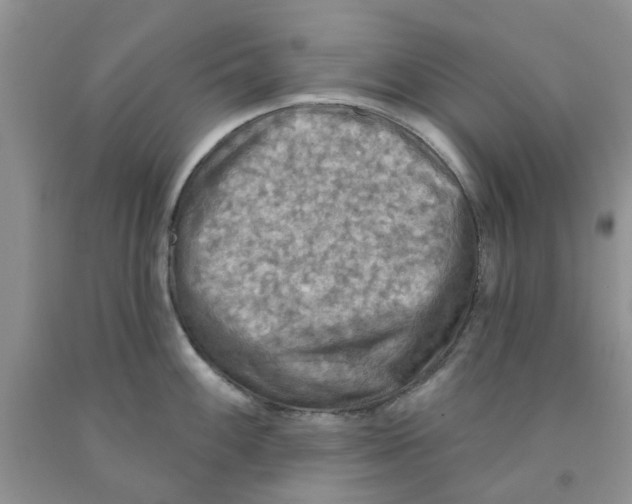 X0000091291100200709071027