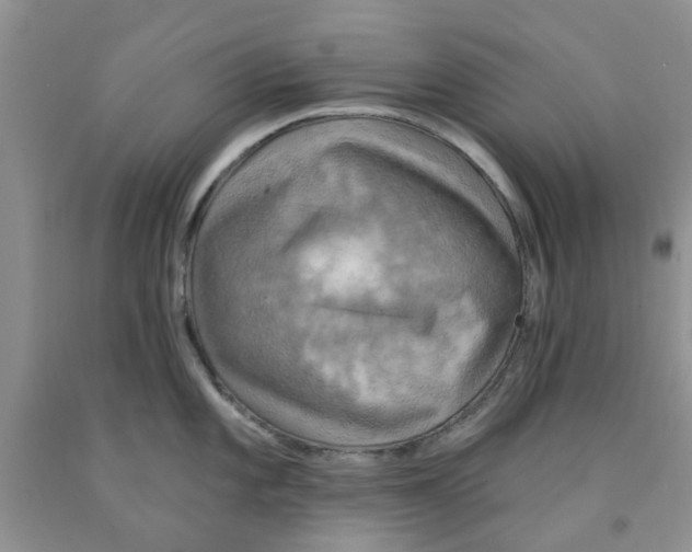 X0000091291101200709071027