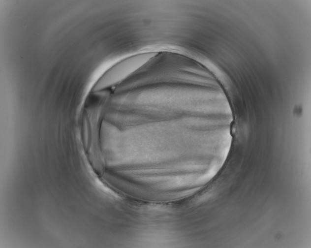 X0000091291102200709071027