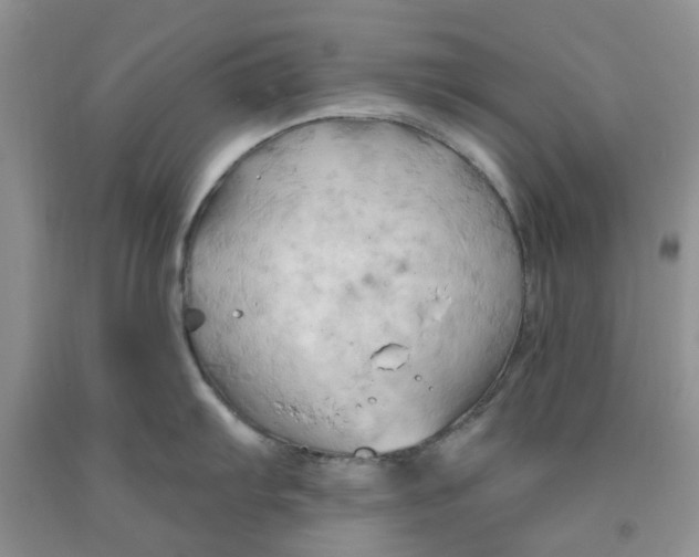 X0000091291103200709071027