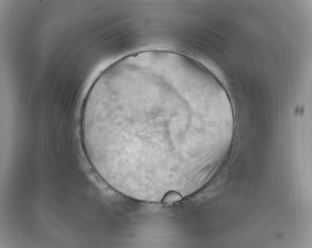 X0000091291104200709071027