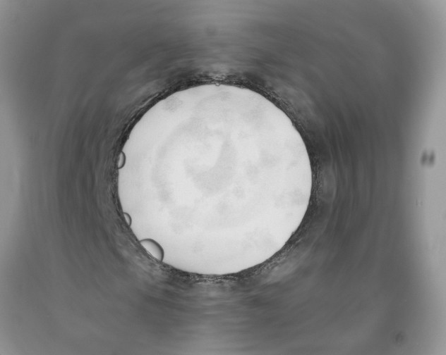 X0000091291105200709071026