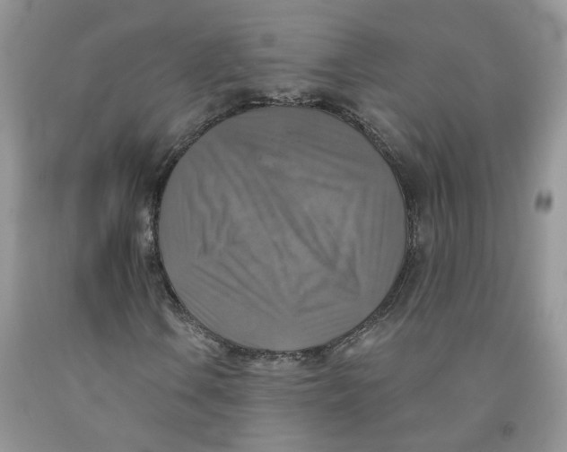 X0000091291106200709071026