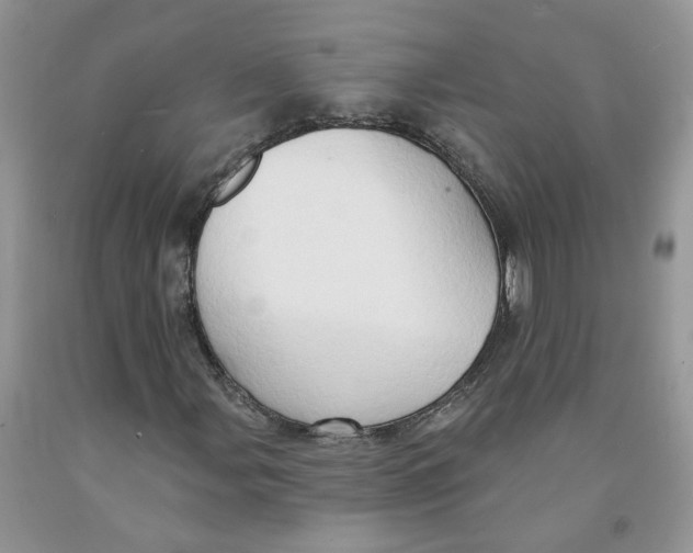 X0000091291107200709071026