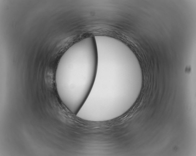 X0000091291108200709071026