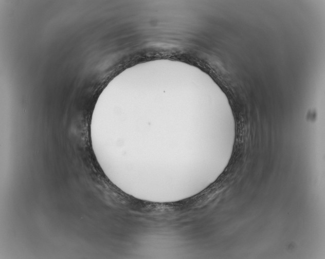 X0000091291109200709071026