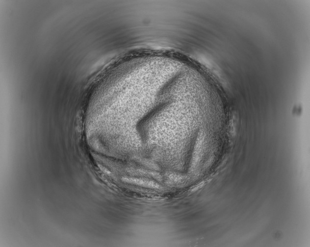 X0000091291110200709071026