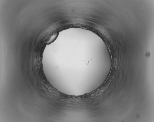 X0000091291111200709071026