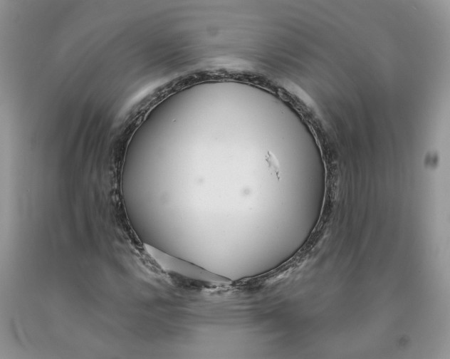 X0000091291112200709071026