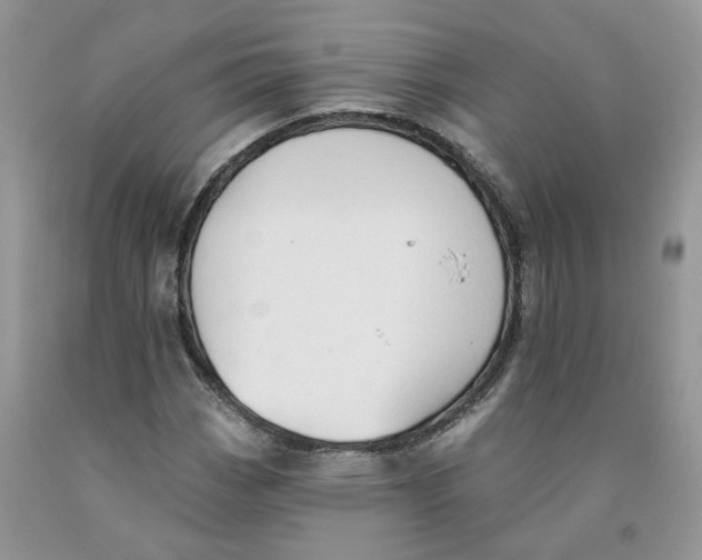 X0000091291113200709071026