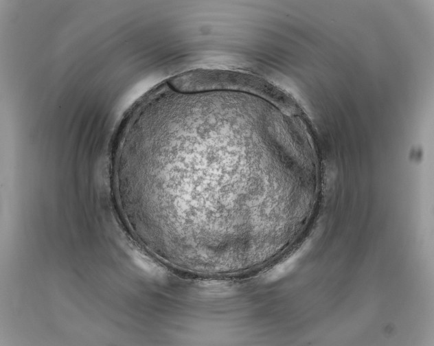 X0000091291114200709071026