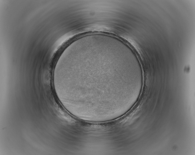 X0000091291115200709071026