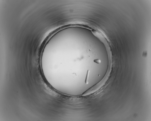 X0000091291116200709071026