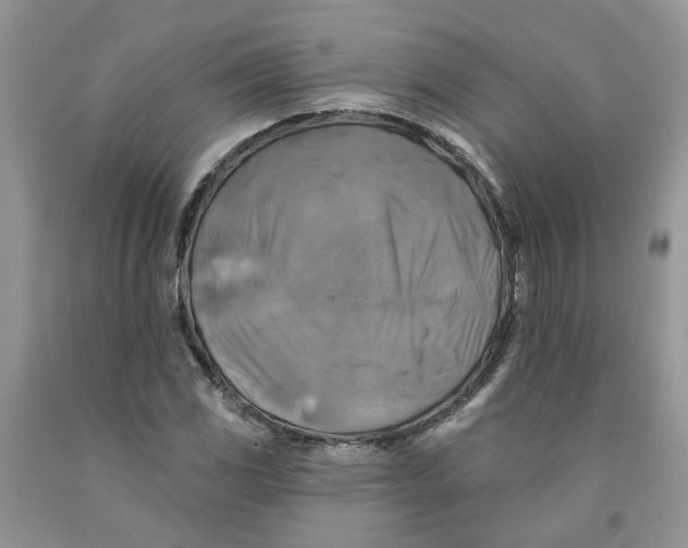 X0000091291117200709071026