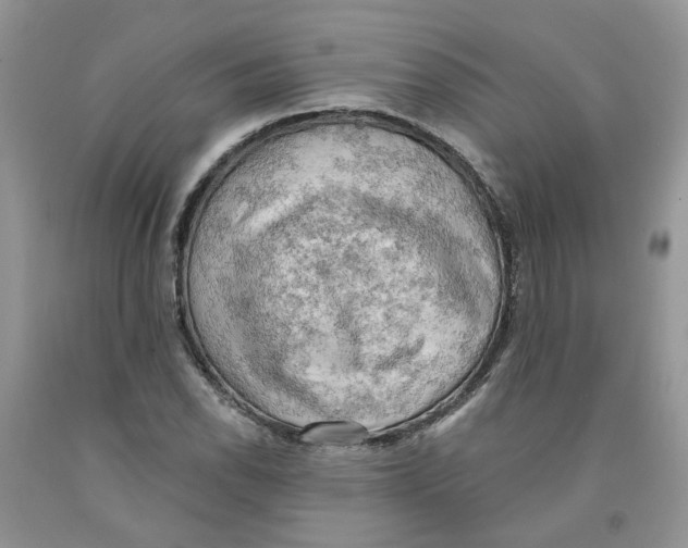 X0000091291118200709071026