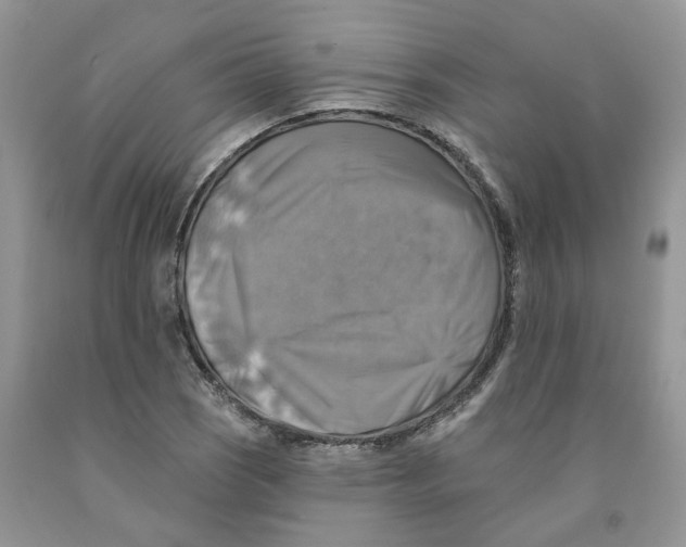 X0000091291121200709071026