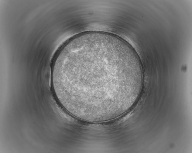 X0000091291123200709071026