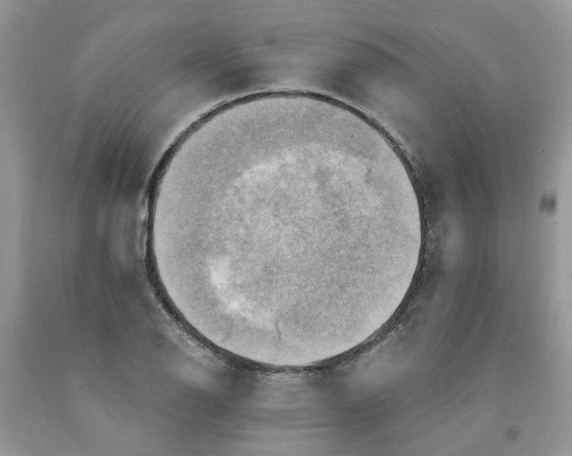 X0000091291126200709071026