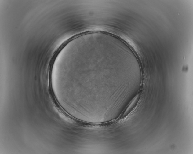 X0000091291127200709071026