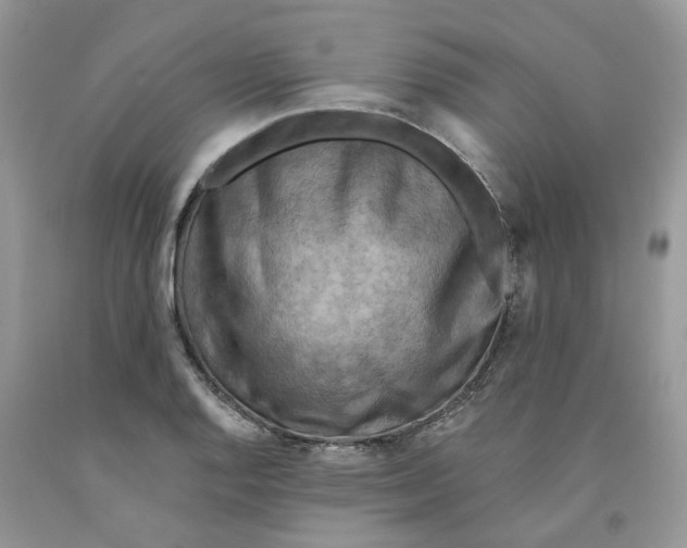 X0000091291128200709071026